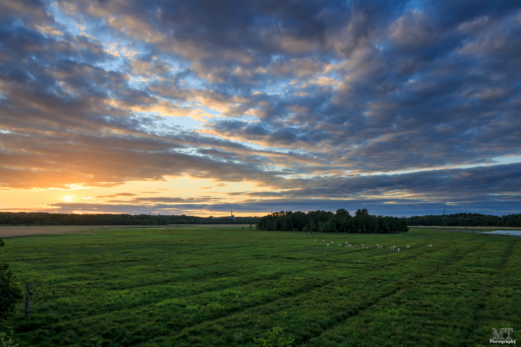 Canon TS-E 24.0mm f/3.5 L II sample photo. Lammassaari photography