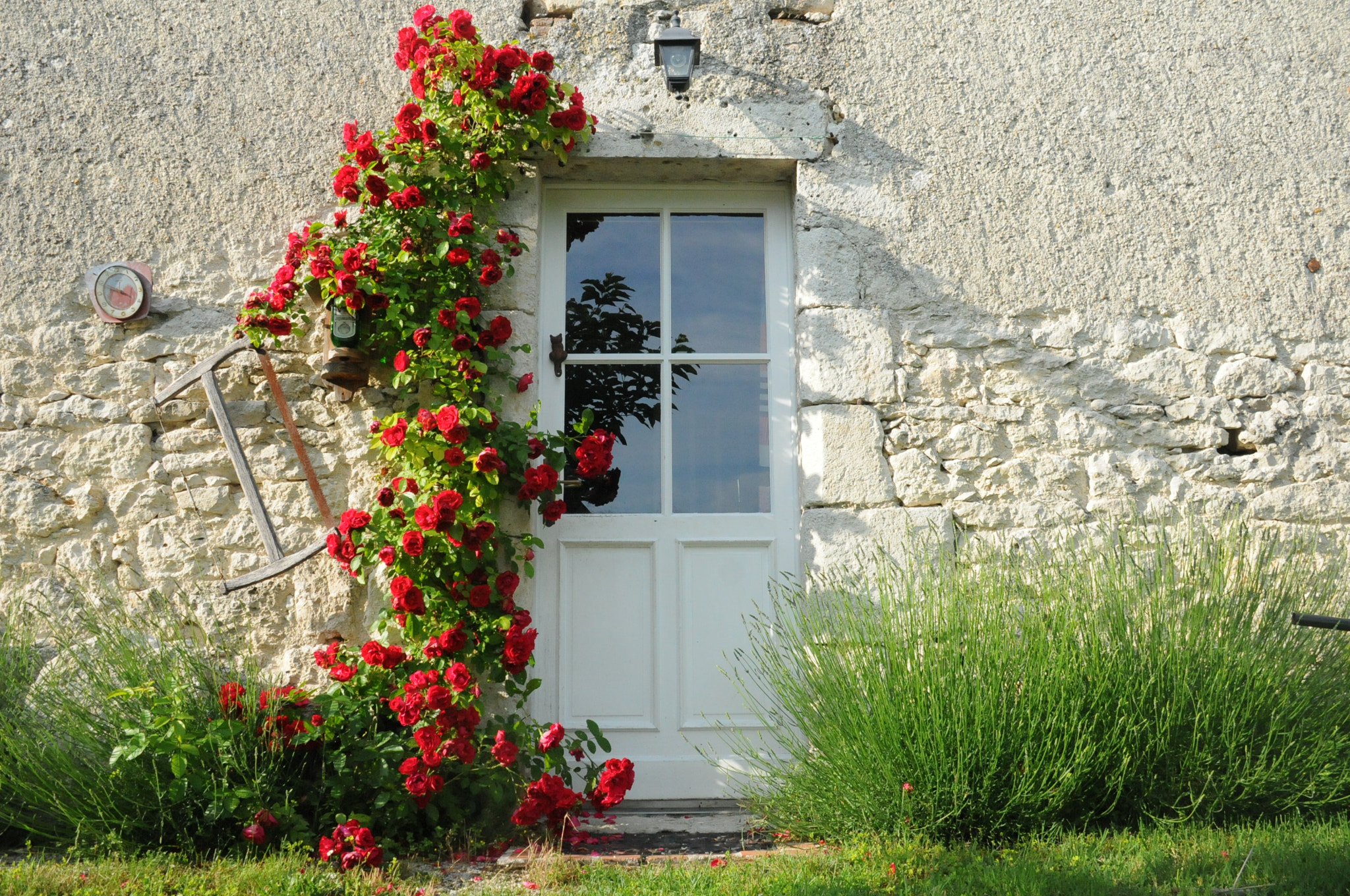 Nikon D300S sample photo. Front door photography