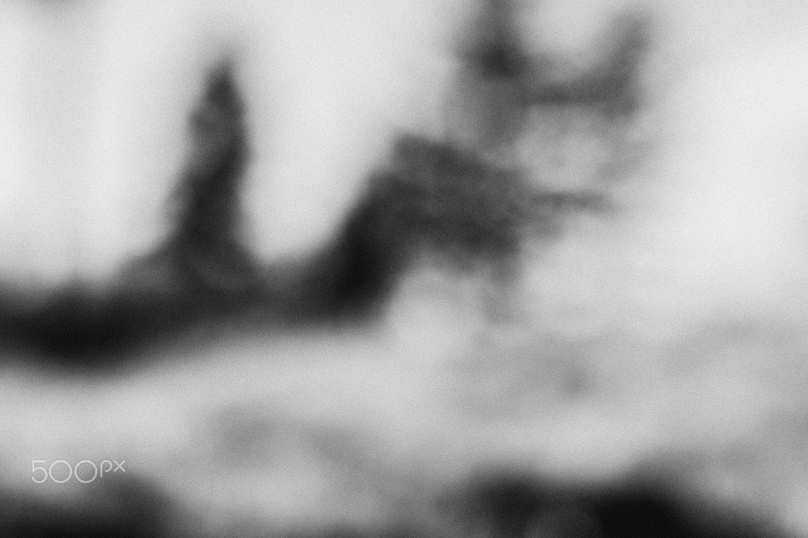 Canon EF 50mm F1.4 USM sample photo. Abstract forest. photography