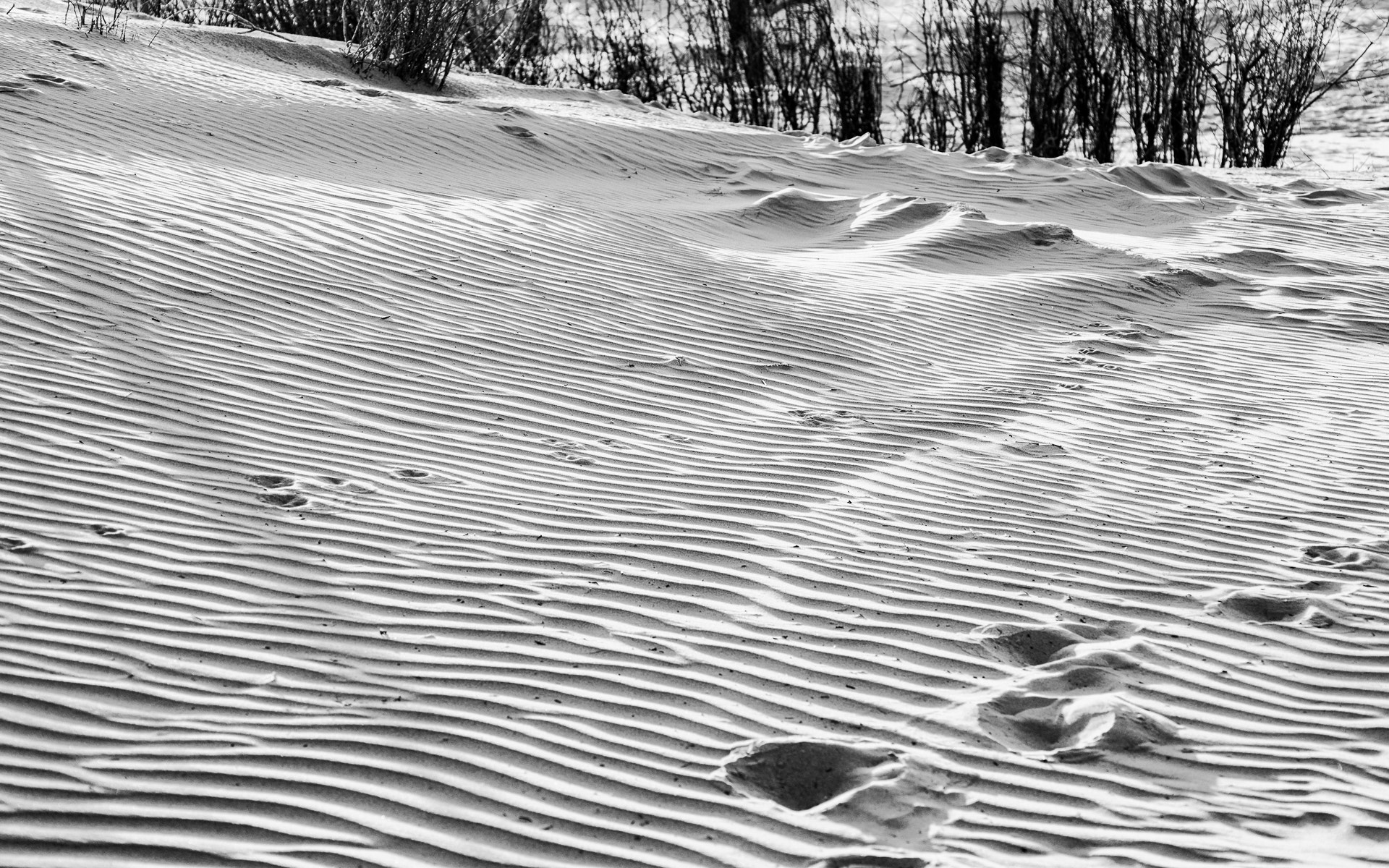 Nikon D800 + AF Nikkor 70-210mm f/4-5.6 sample photo. Along the dunes photography