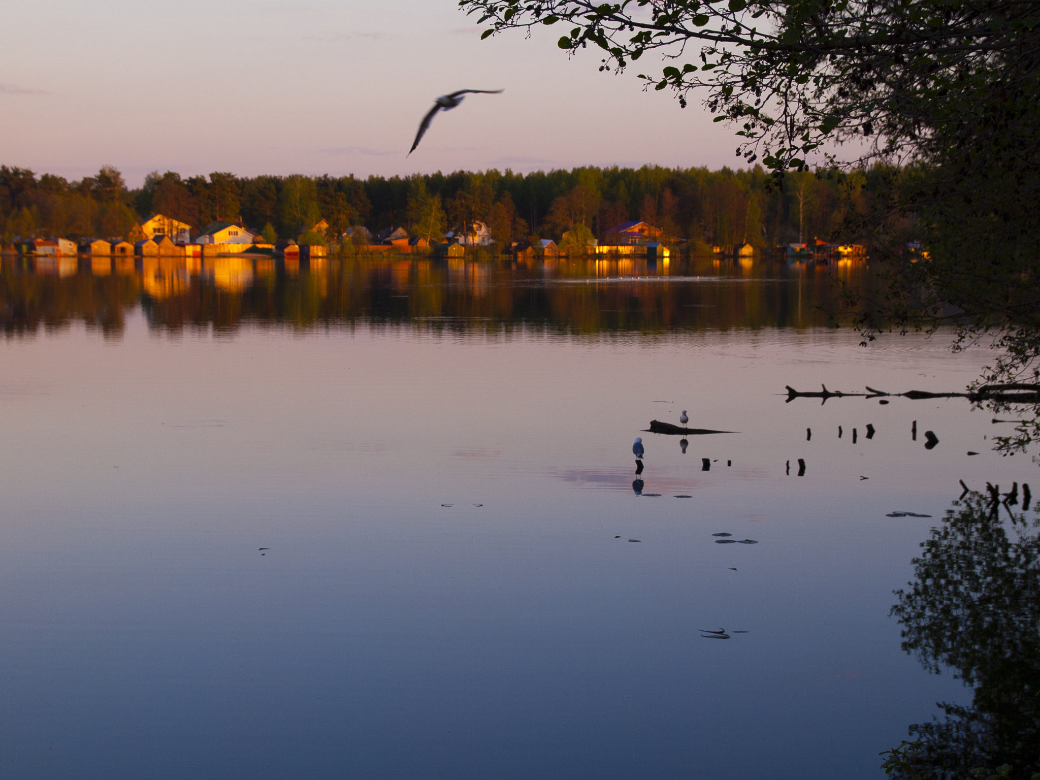 Olympus E-520 (EVOLT E-520) + SIGMA 18-50mm F2.8 DC sample photo. The sunset landscape in vvedenskiy photography