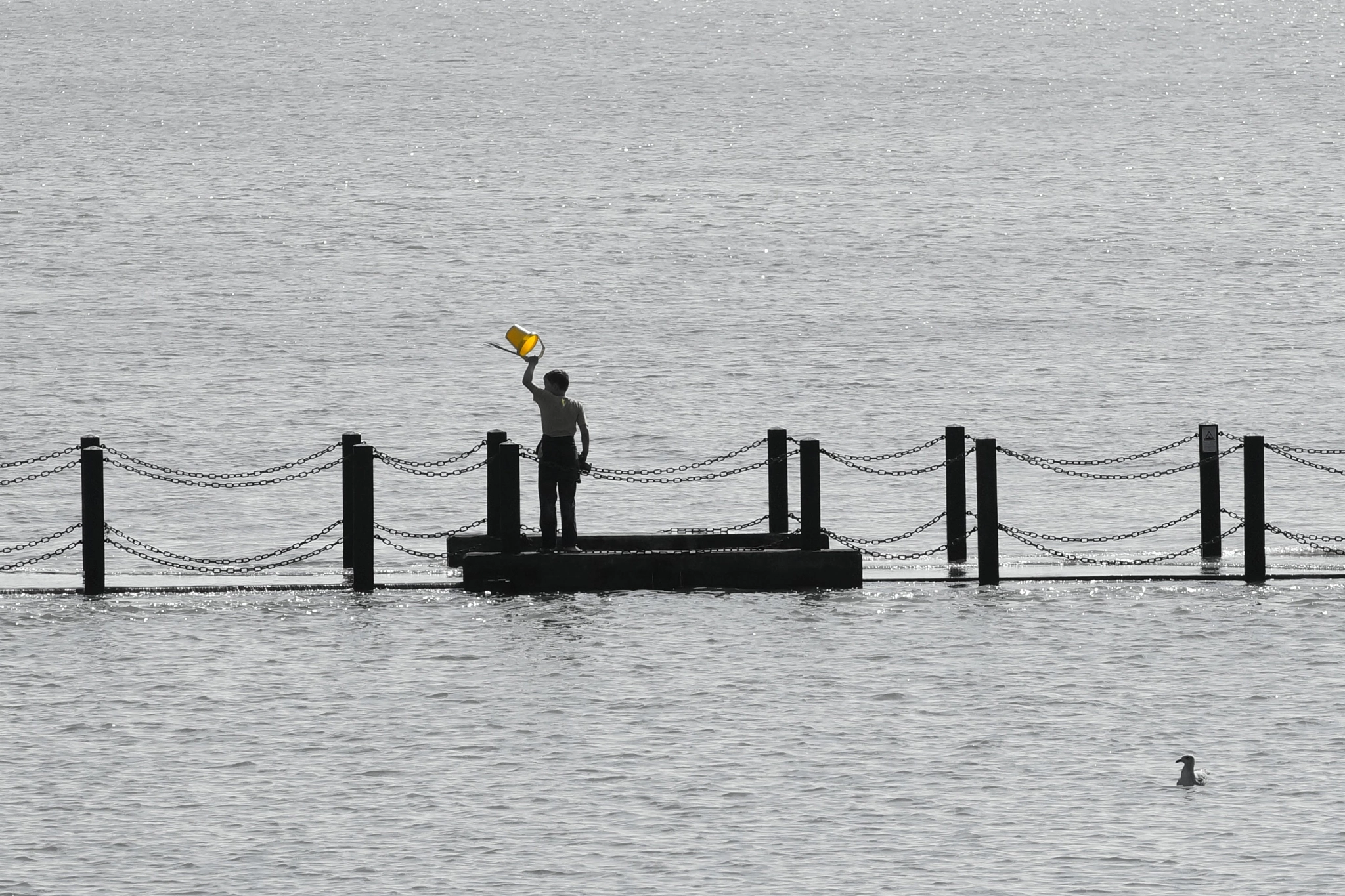 Tamron SP 70-300mm F4-5.6 Di USD sample photo. Yellow greating photography