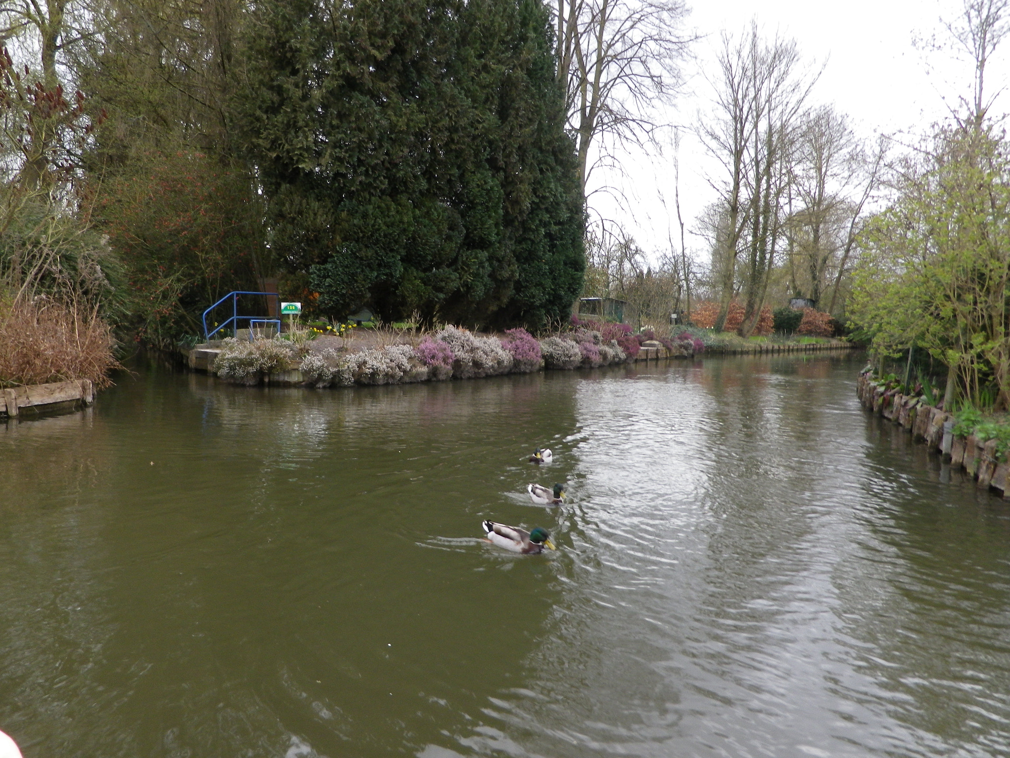 Pentax Optio RZ18 sample photo. Hortillonnages photography