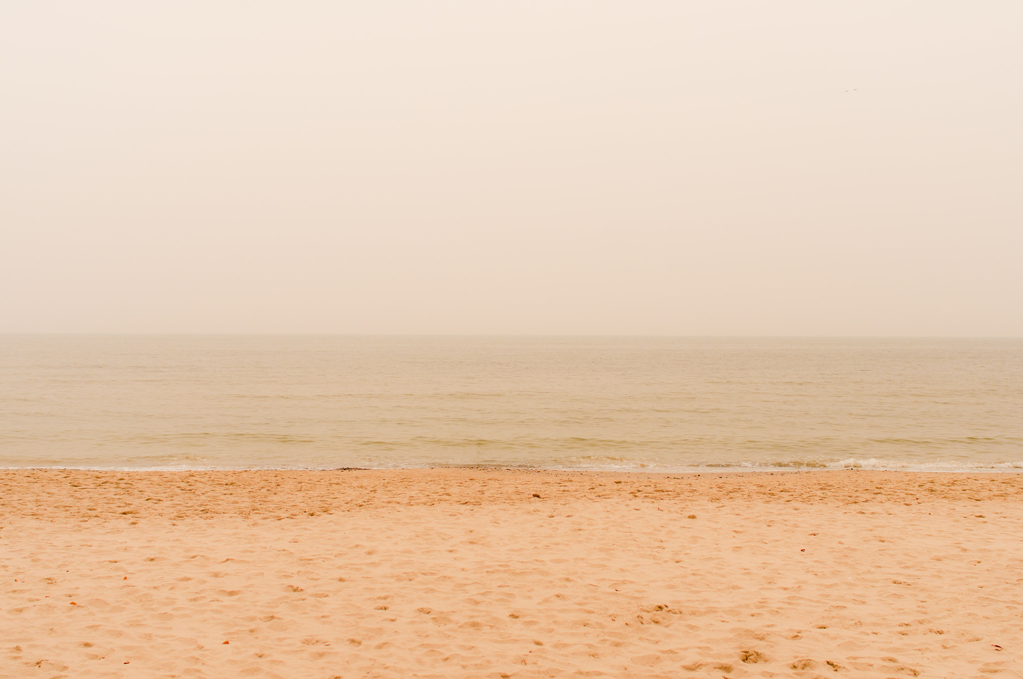 Nikon D300 + Nikon AF Nikkor 28mm F2.8D sample photo. Usedom photography