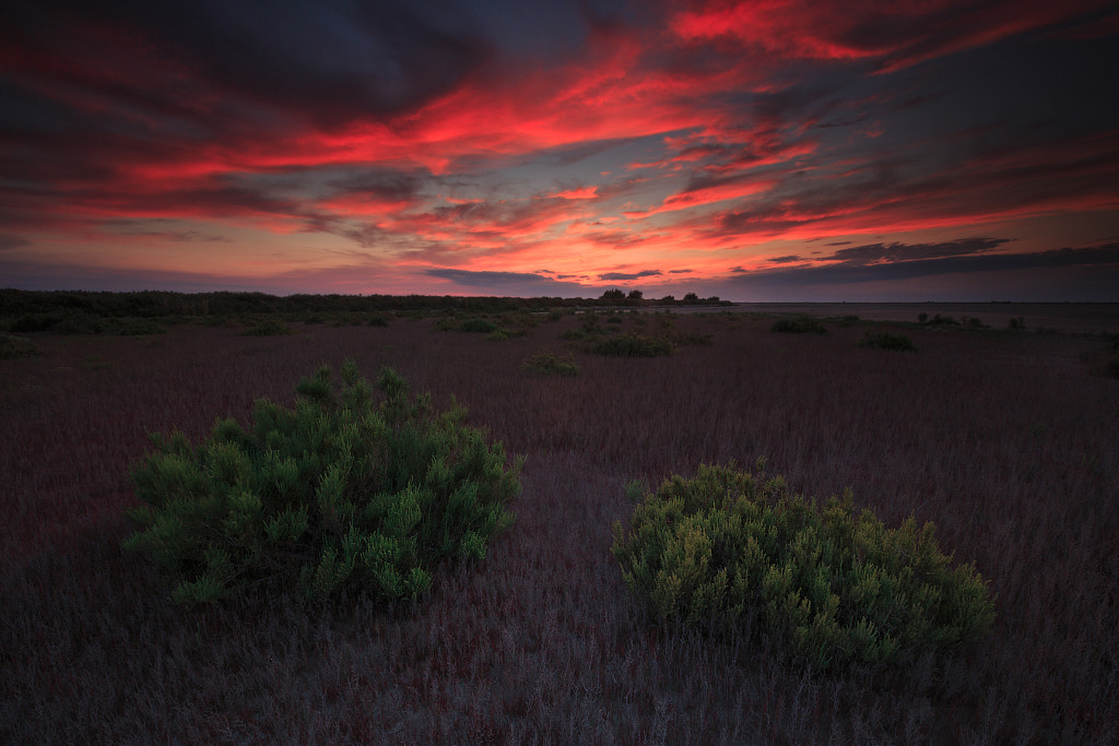 Sky on fire