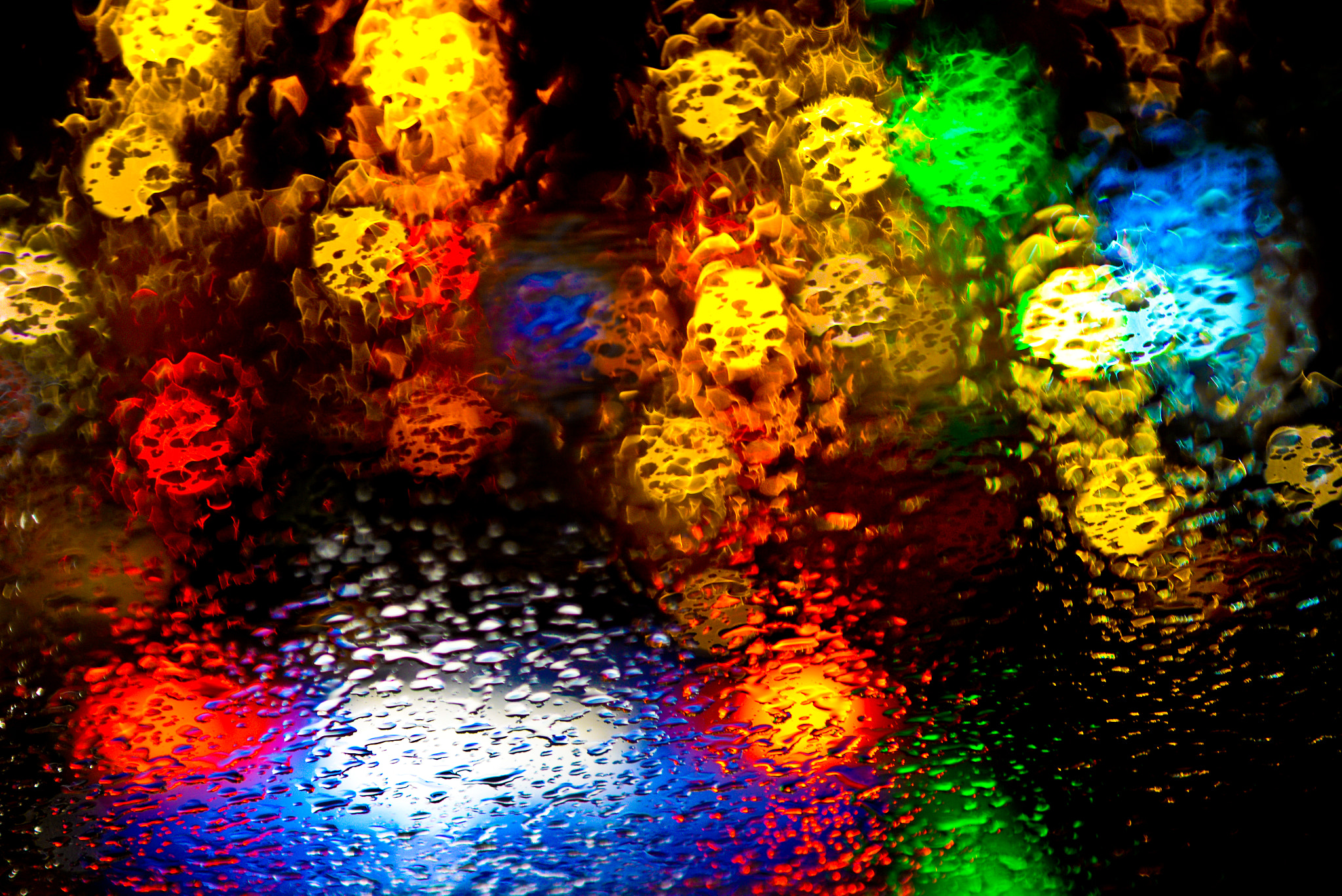 Nikon D610 + Sigma 24-70mm F2.8 EX DG Macro sample photo. Lluvia de colores photography