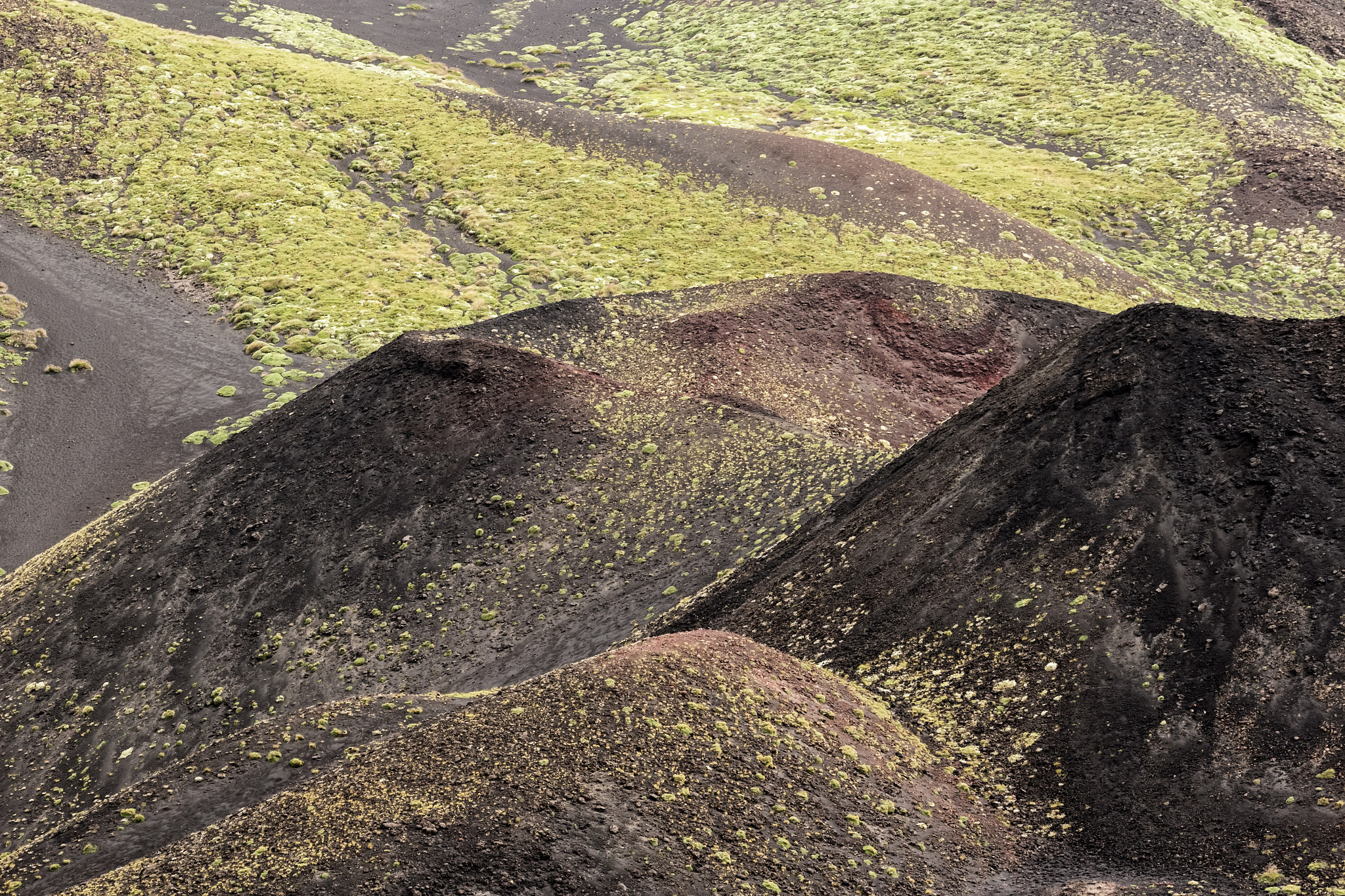 Sigma 105mm F2.8 EX DG OS HSM sample photo. The colourful etna photography