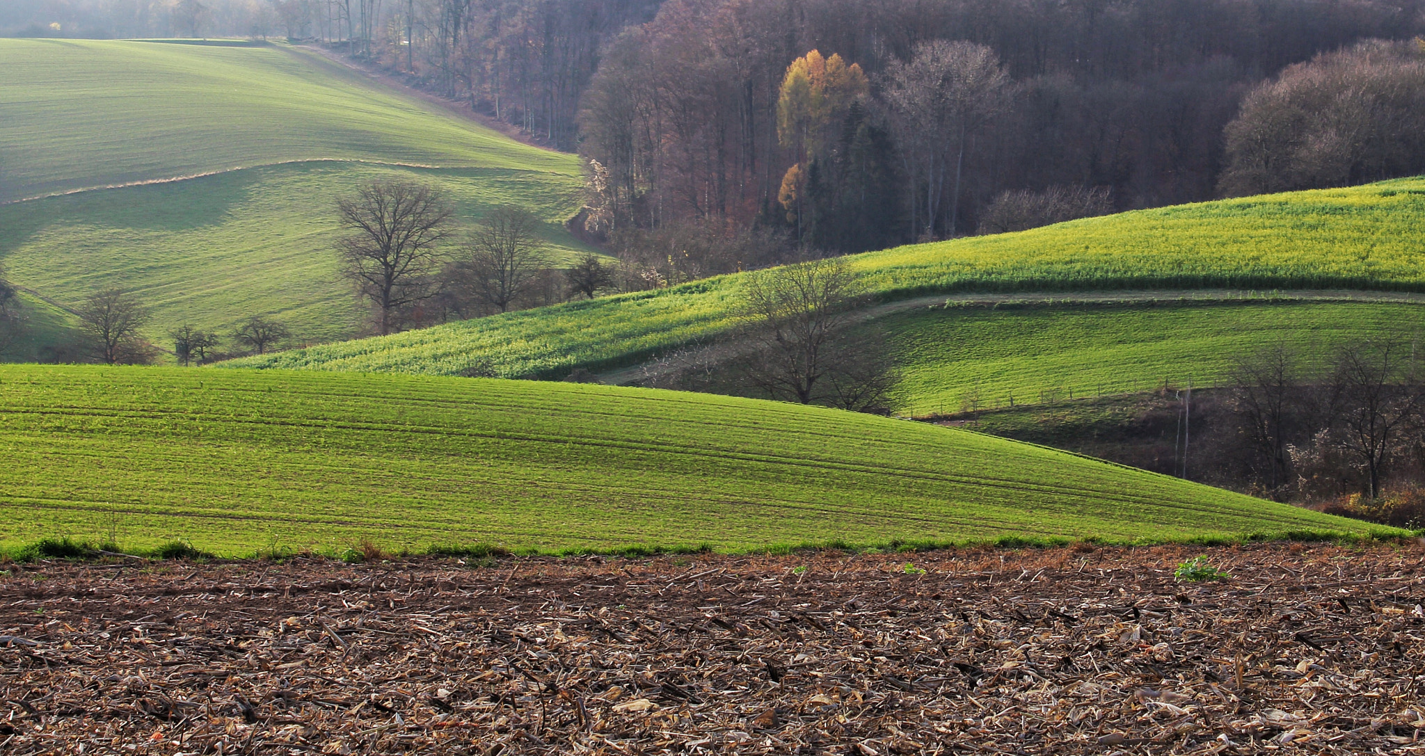 Canon EF-S 18-55mm F3.5-5.6 IS II sample photo. Odenwald fields photography