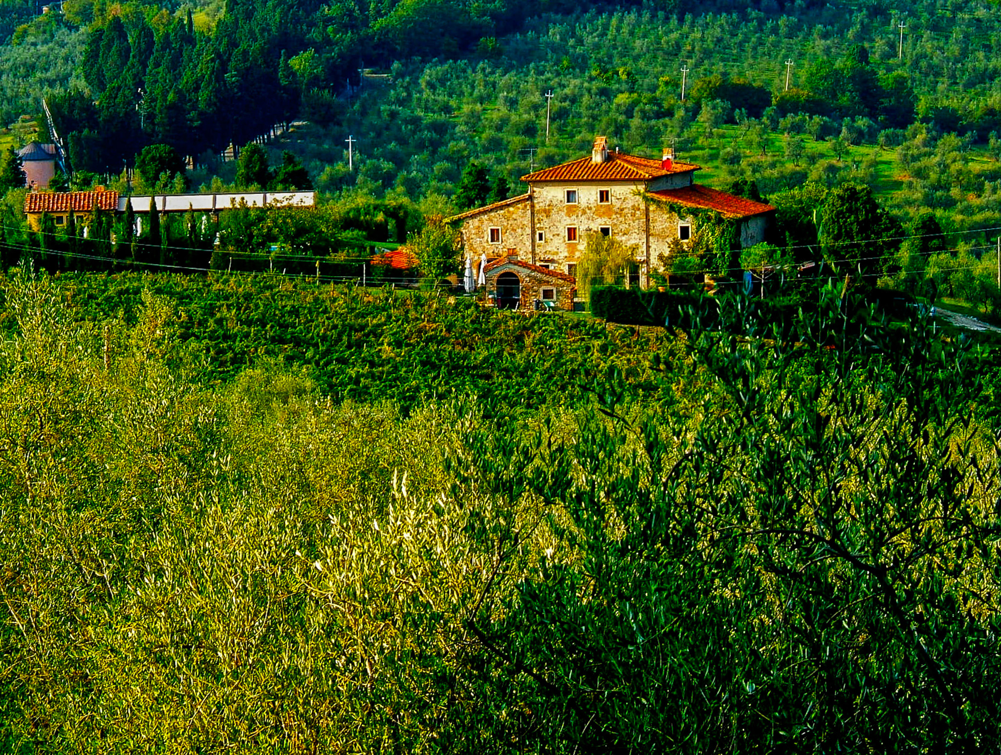 Fujifilm FinePix E550 sample photo. Landscapes photography