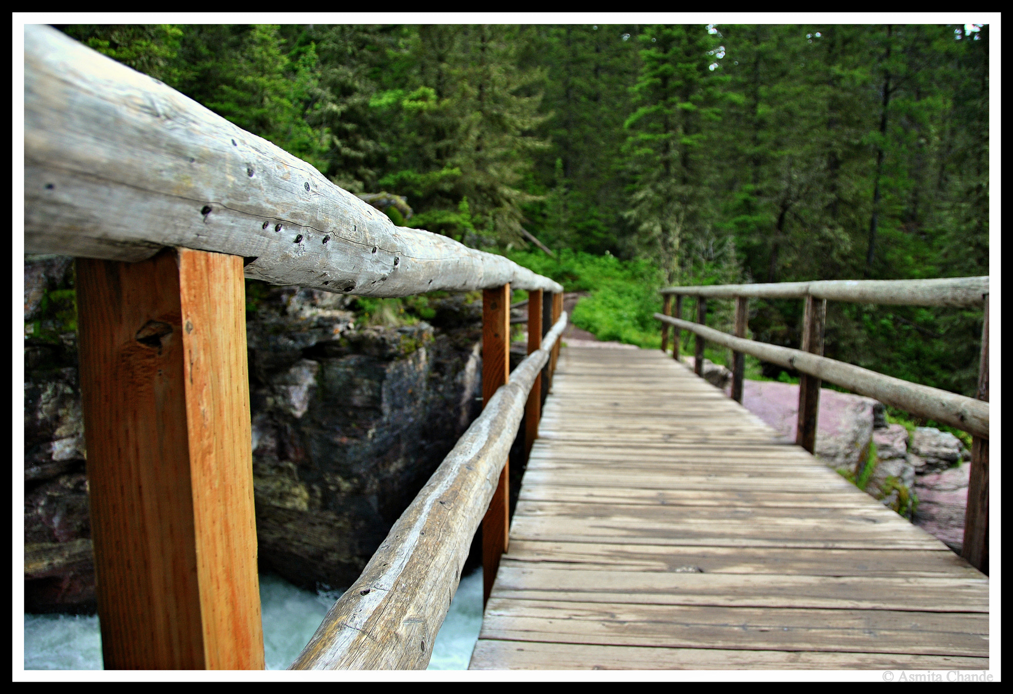 Nikon D3000 sample photo. On the trail to st. mary's falls photography