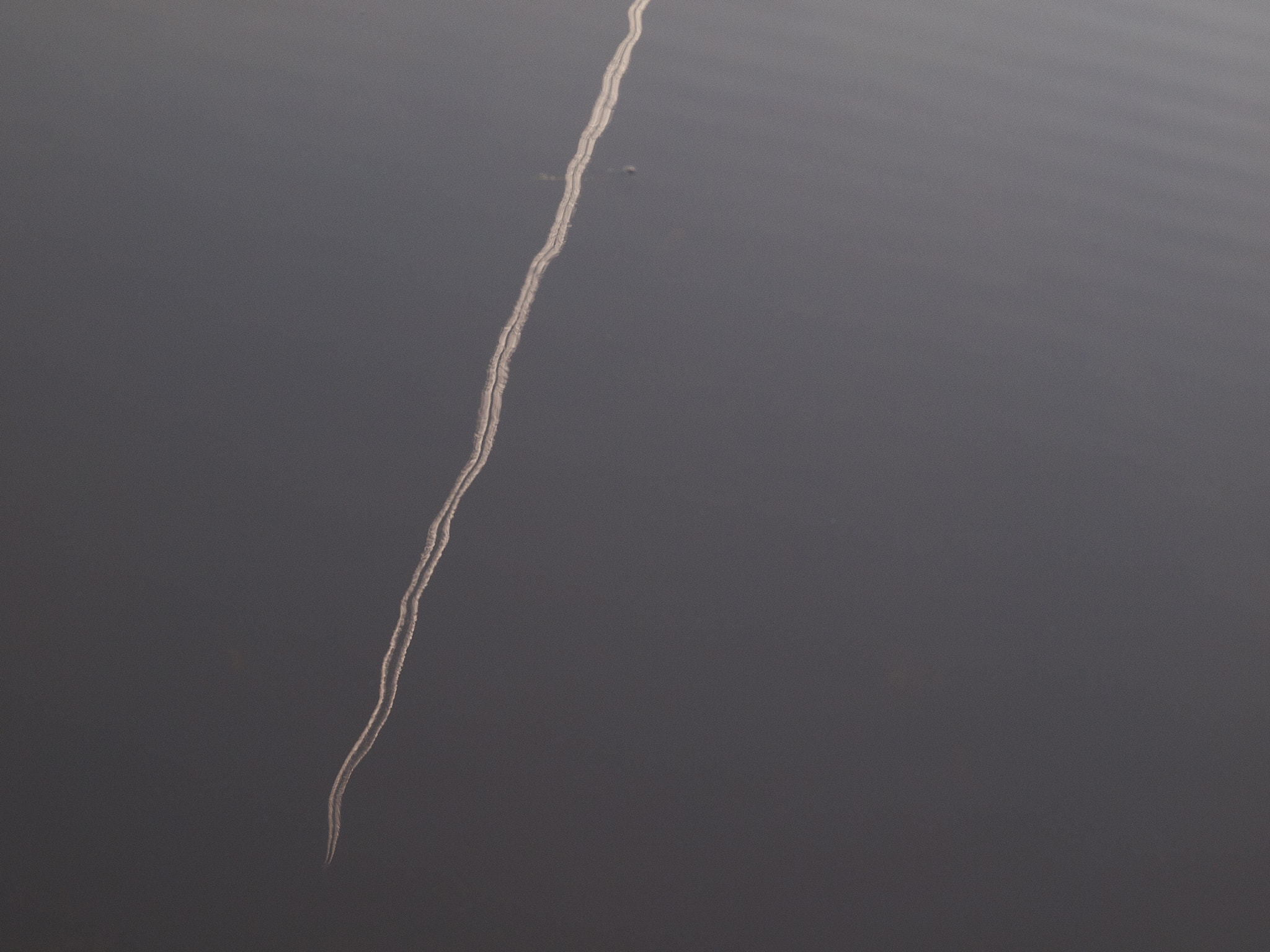 Olympus E-520 (EVOLT E-520) + SIGMA 18-50mm F2.8 DC sample photo. Cutting the water photography