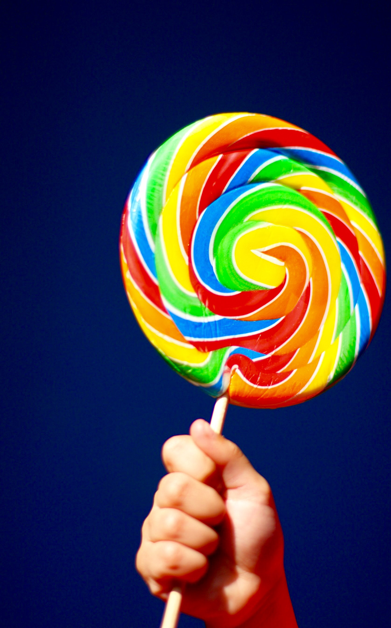 Canon EF 50mm F1.4 USM sample photo. Happiness on a stick photography