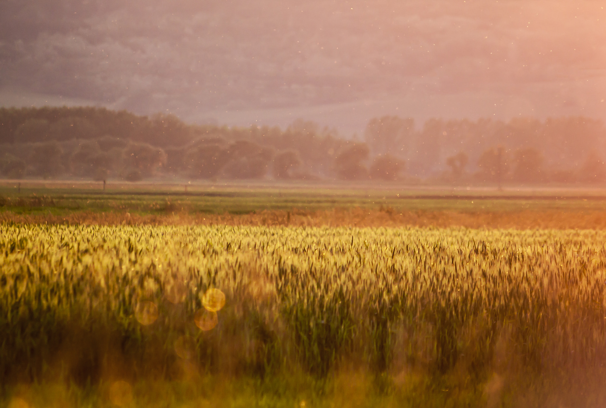 Sigma 70-300mm F4-5.6 APO DG Macro sample photo. Summer sunset photography