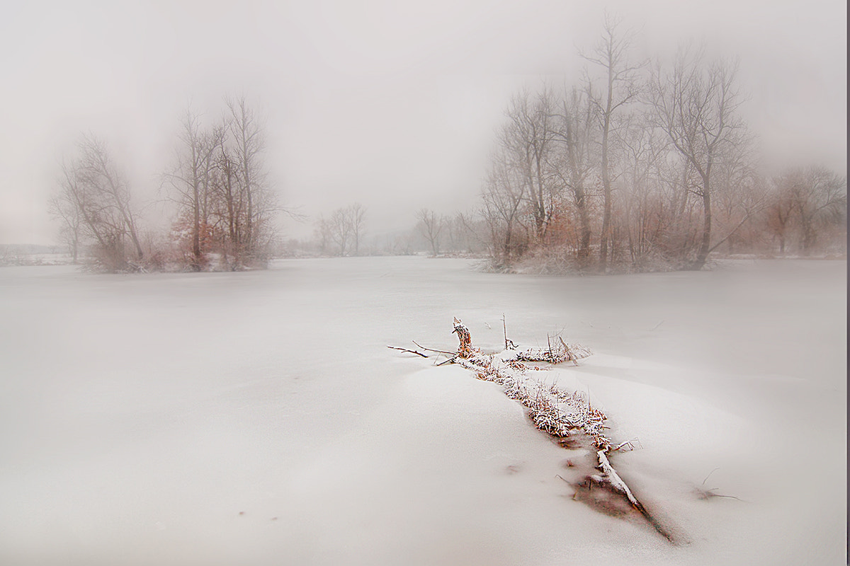 Tokina AT-X Pro 12-24mm F4 (IF) DX sample photo. Frozen solitudes photography