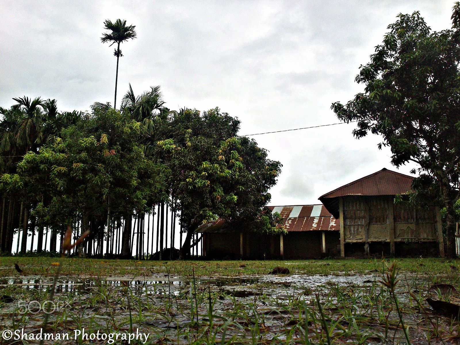 Sony Xperia U sample photo. Dsc_0306.jpg photography