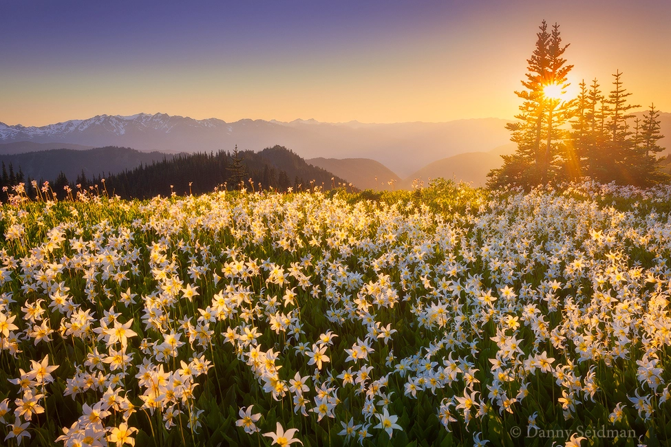 High Above the Valleys by Danny Seidman on 500px.com
