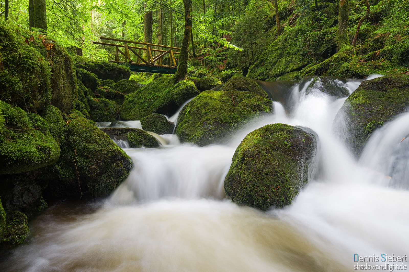 Sony a7 II + Canon EF 16-35mm F4L IS USM sample photo. Refreshing water photography