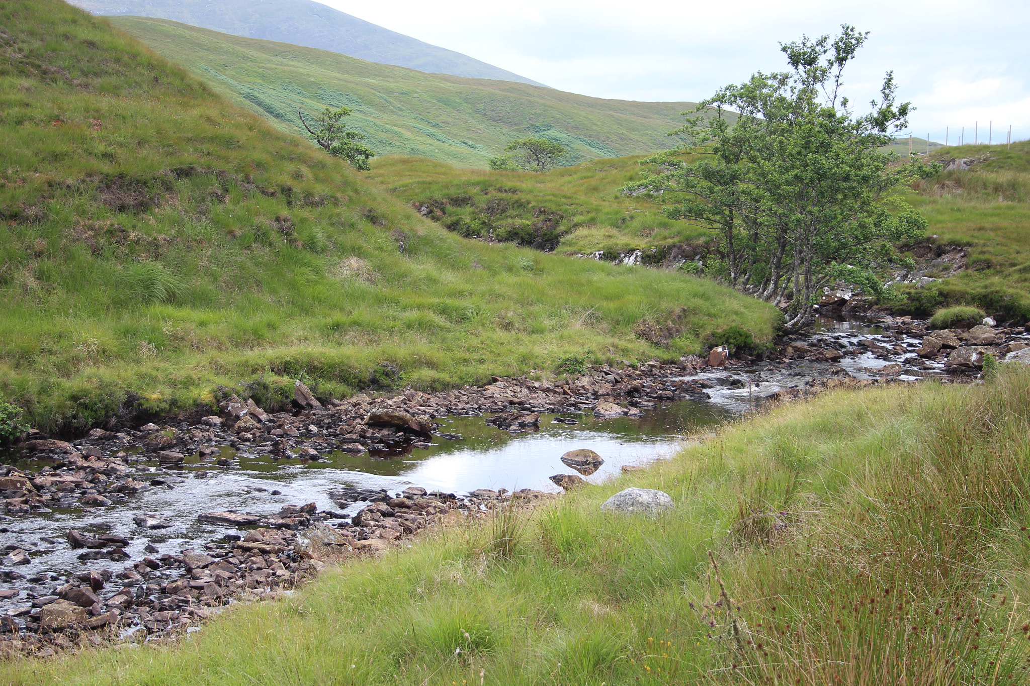 Canon EF-S 18-55mm F3.5-5.6 sample photo. Scotland photography