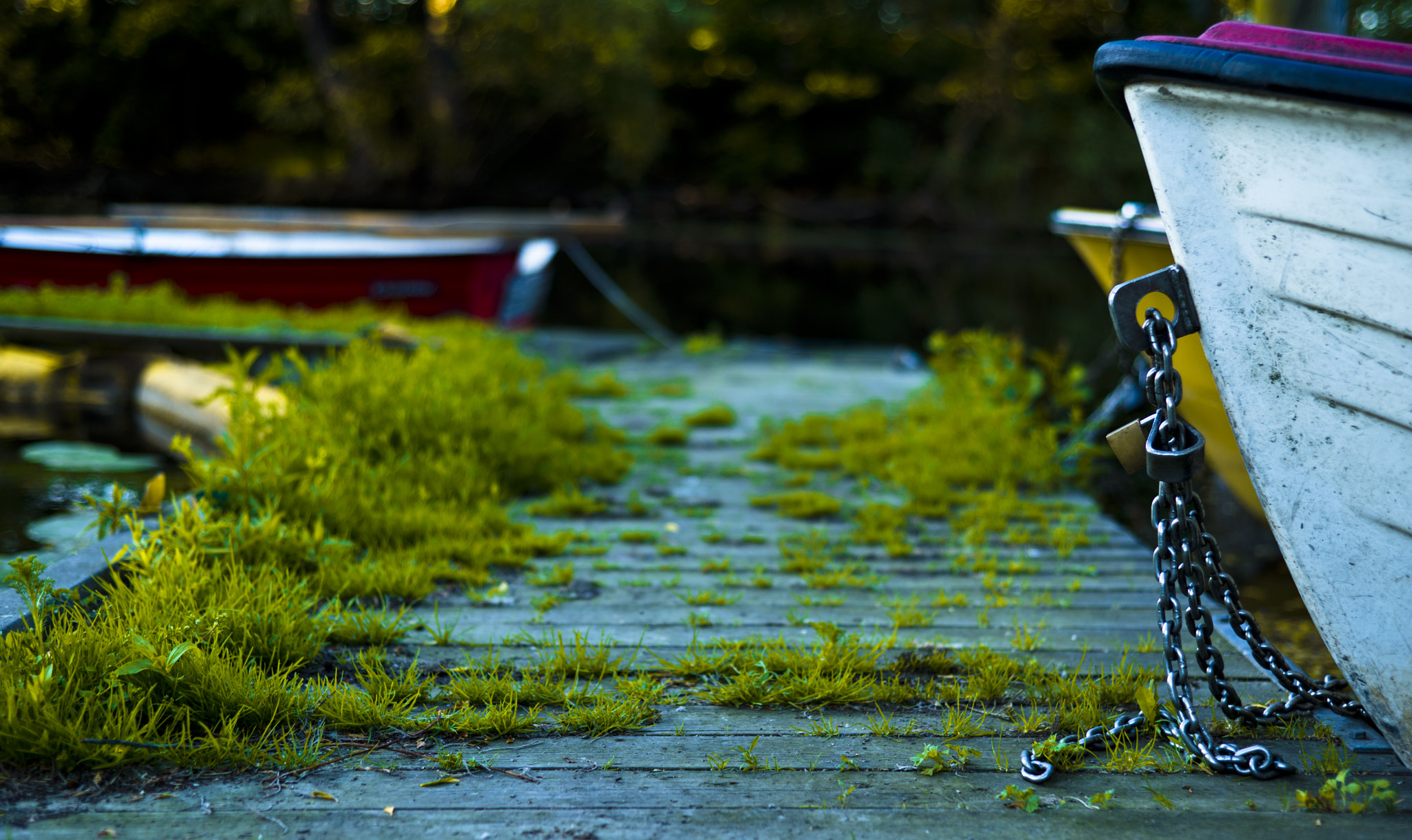 Nikon D600 sample photo. Boat'n'chain photography