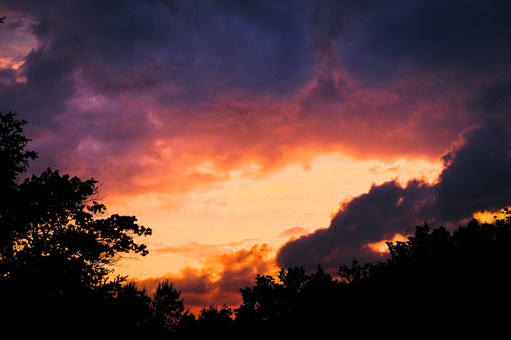 Sony a5100 + E 50mm F1.8 OSS sample photo. Weather photography