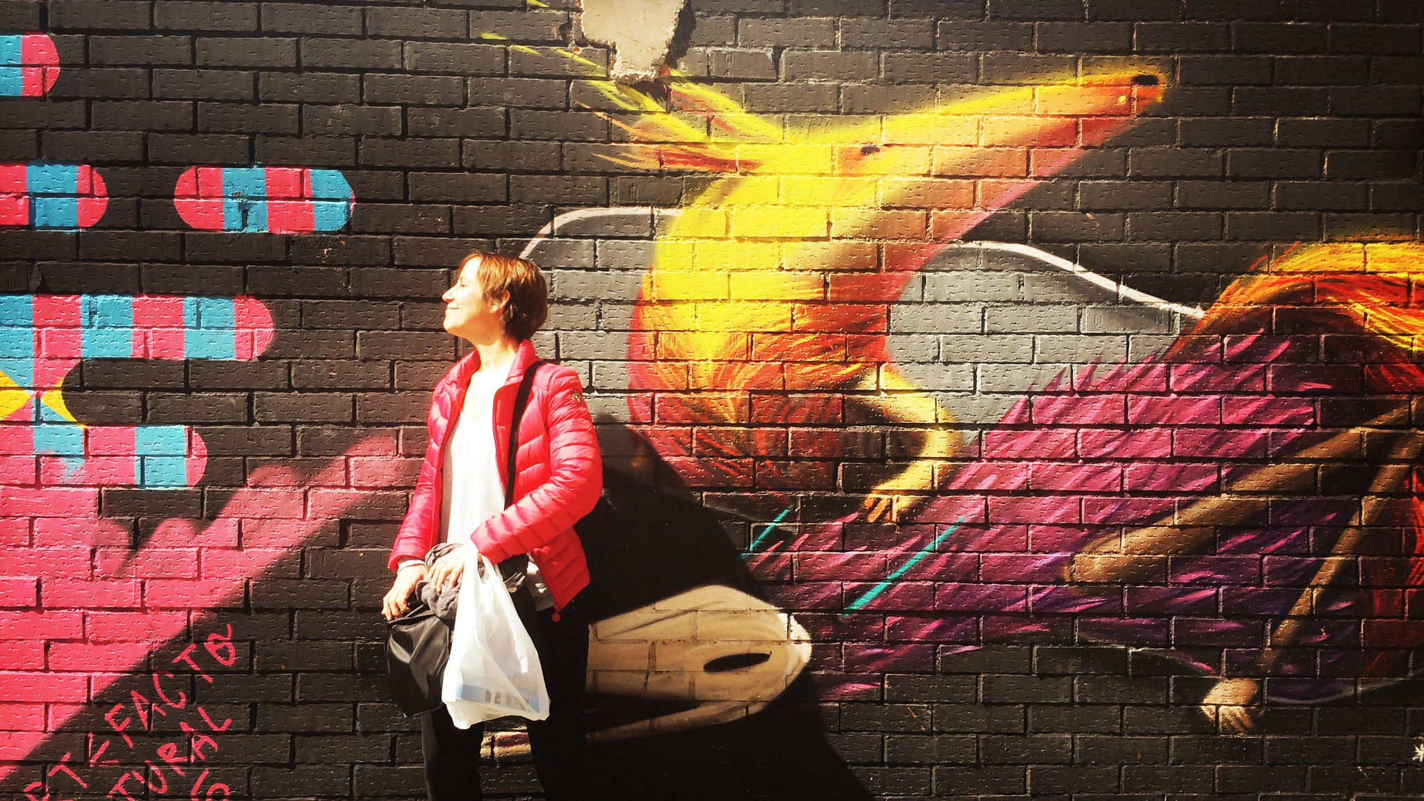 Hipstamatic 313 sample photo. Madrid street art photography