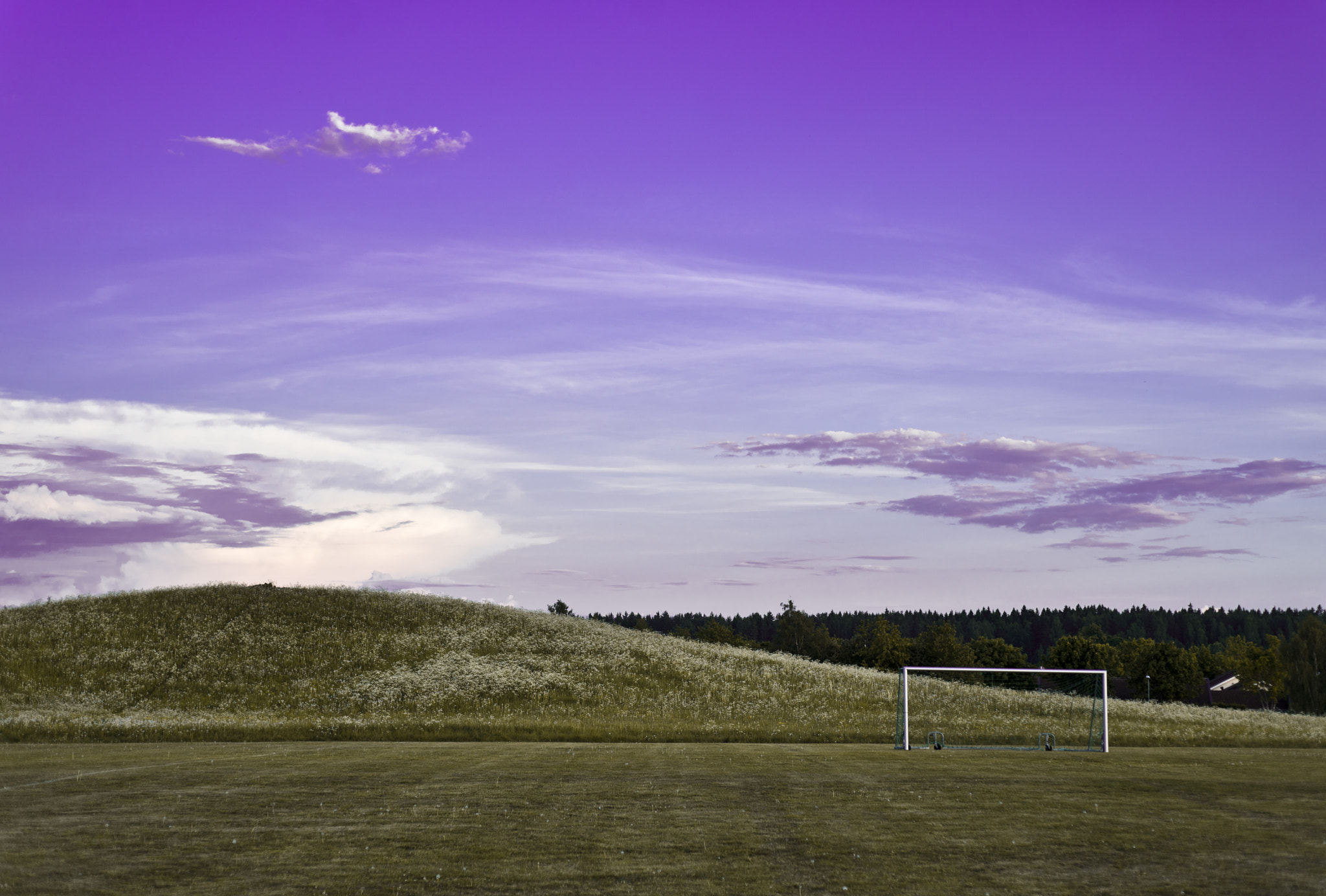 Nikon D600 + Sigma 50mm F2.8 EX DG Macro sample photo. Open goal photography