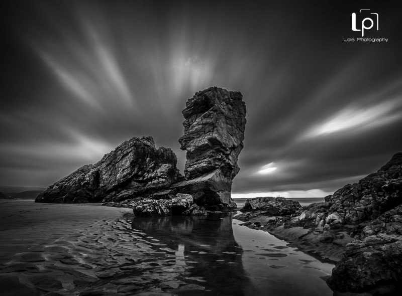 OLYMPUS M.9-18mm F4.0-5.6 sample photo. Bayas b&w photography