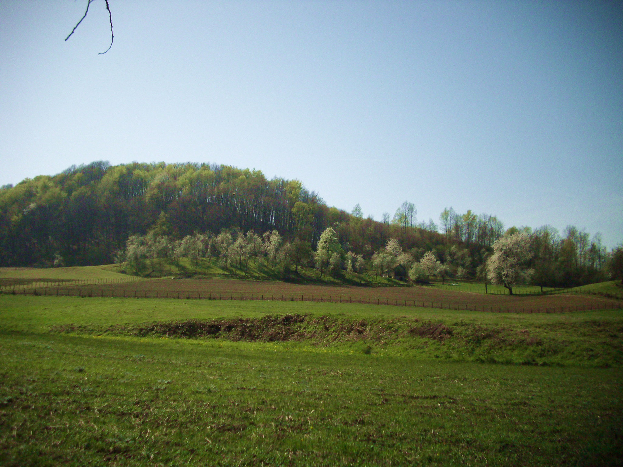 Benq DC C1060 sample photo. Beautiful world photography