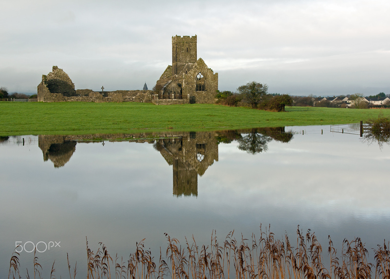 Canon EOS 1000D (EOS Digital Rebel XS / EOS Kiss F) sample photo. Clare abbey photography