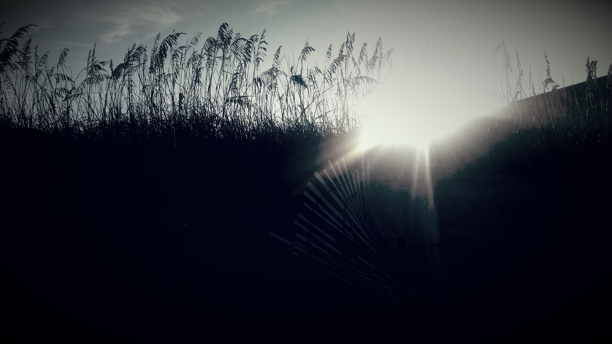 Samsung Galaxy S5 K Sport sample photo. Over the dune in obx as the sun peeks thru the grass  photography