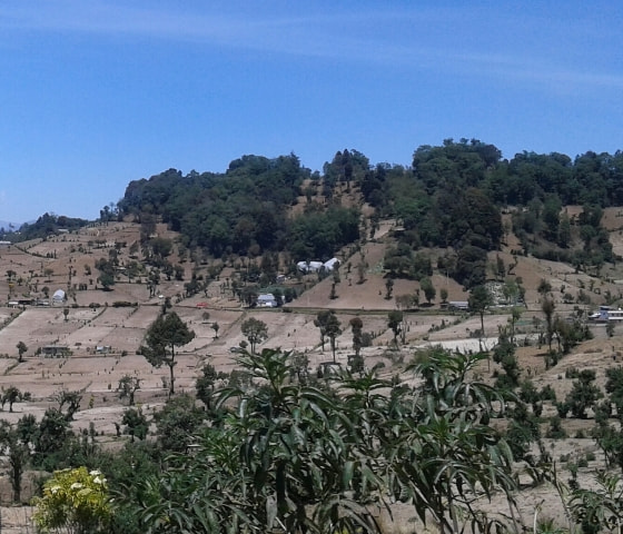 Samsung Galaxy Core Plus sample photo. Campos de siembra área rural photography
