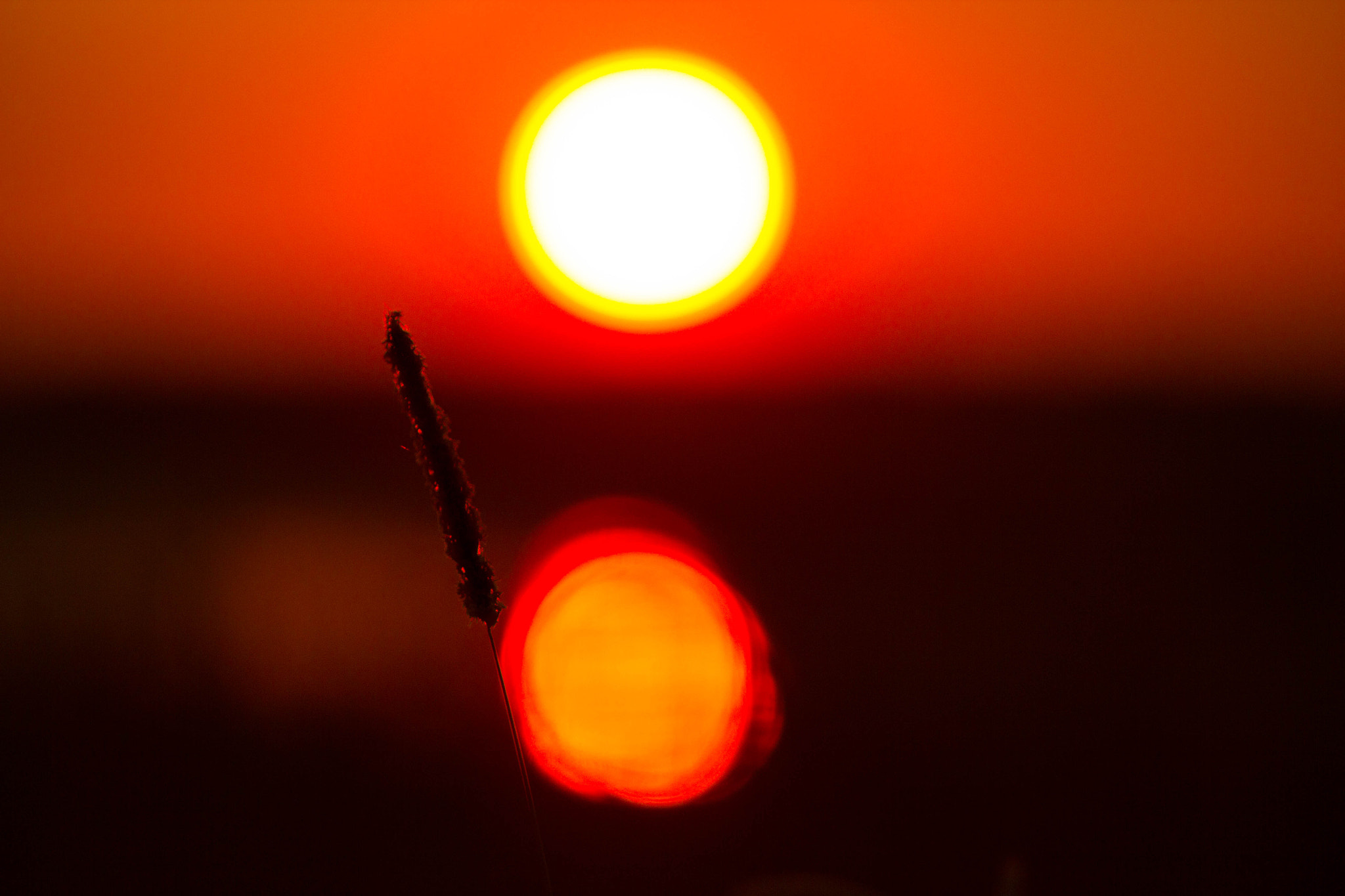 Canon EF 70-200mm F2.8L IS USM sample photo. Double sundown photography