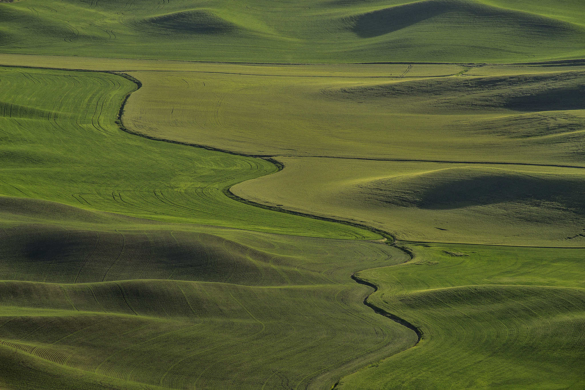 Sony 75-300mm F4.5-5.6 sample photo. Jigsaw puzzle photography