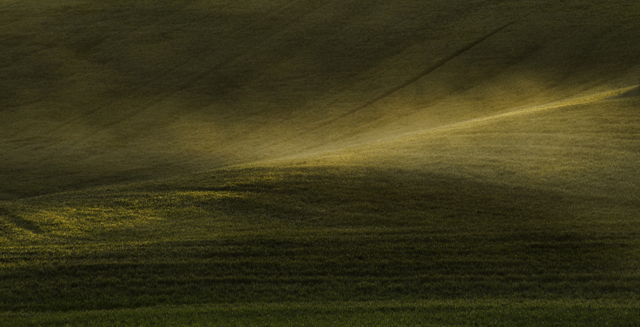 Sony a7R sample photo. Through the gap photography