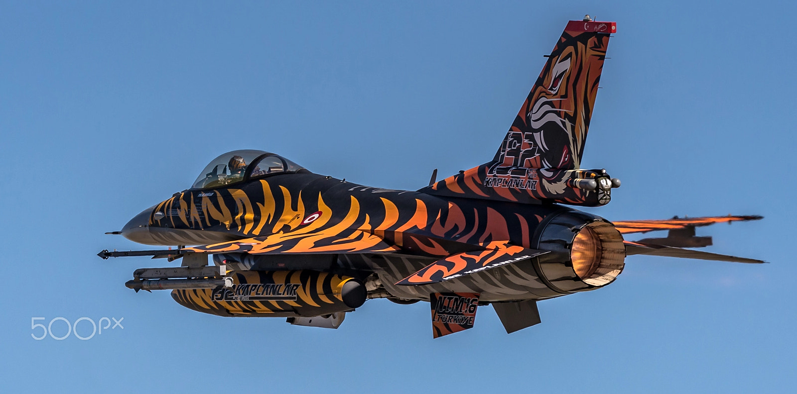Sigma 150-600mm F5-6.3 DG OS HSM | C sample photo. Tiger in the sky photography