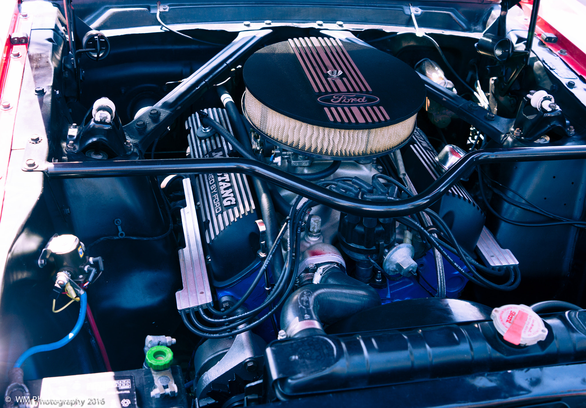 Sony SLT-A77 sample photo. Mustang valley photography