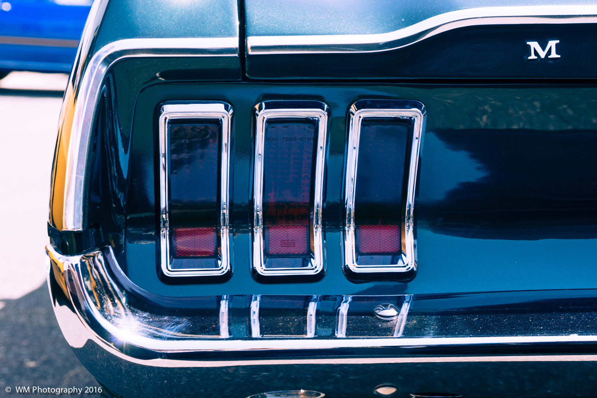 Sony SLT-A77 sample photo. Mustang valley photography