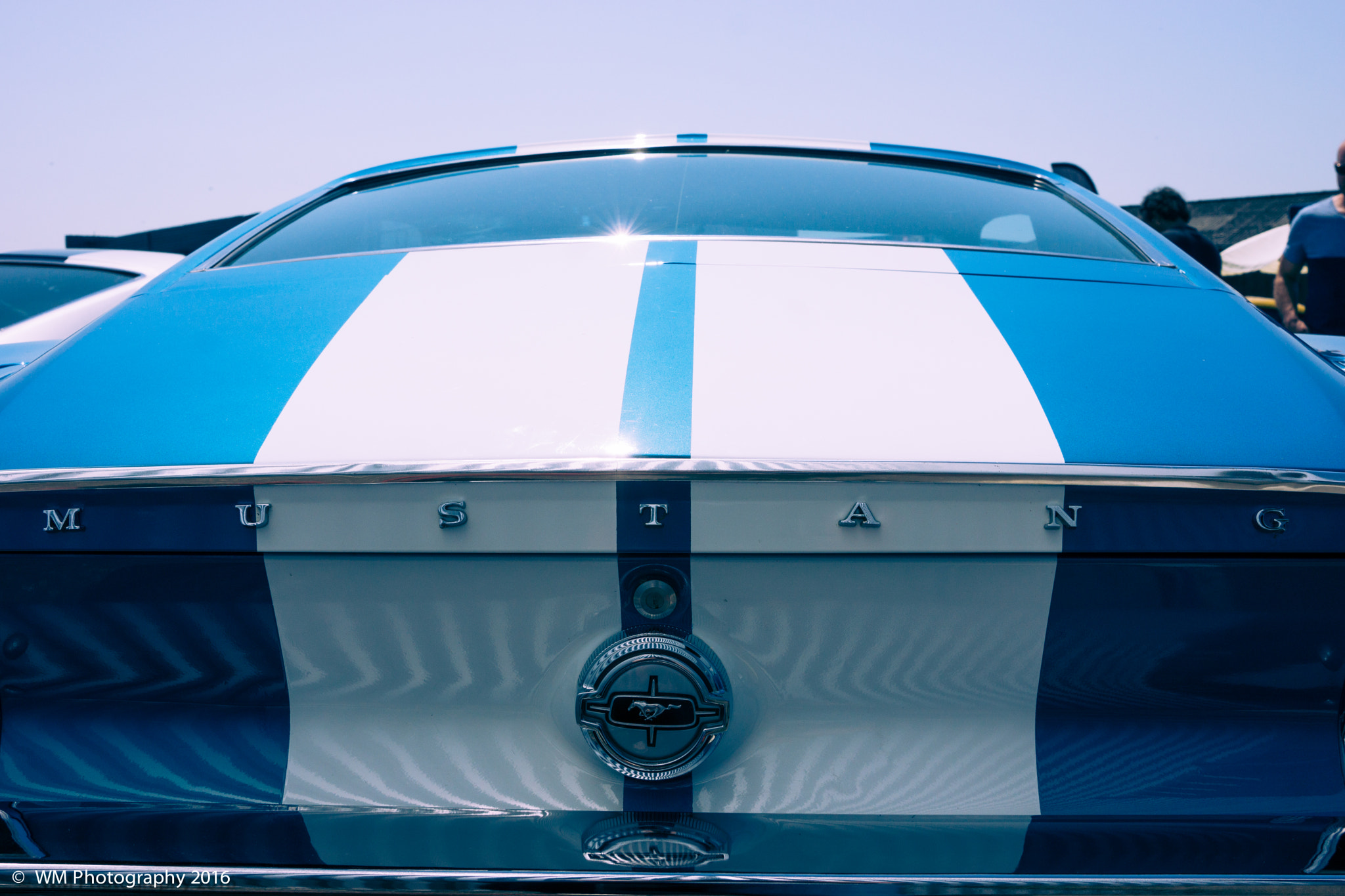 Sony SLT-A77 sample photo. Mustang valley photography