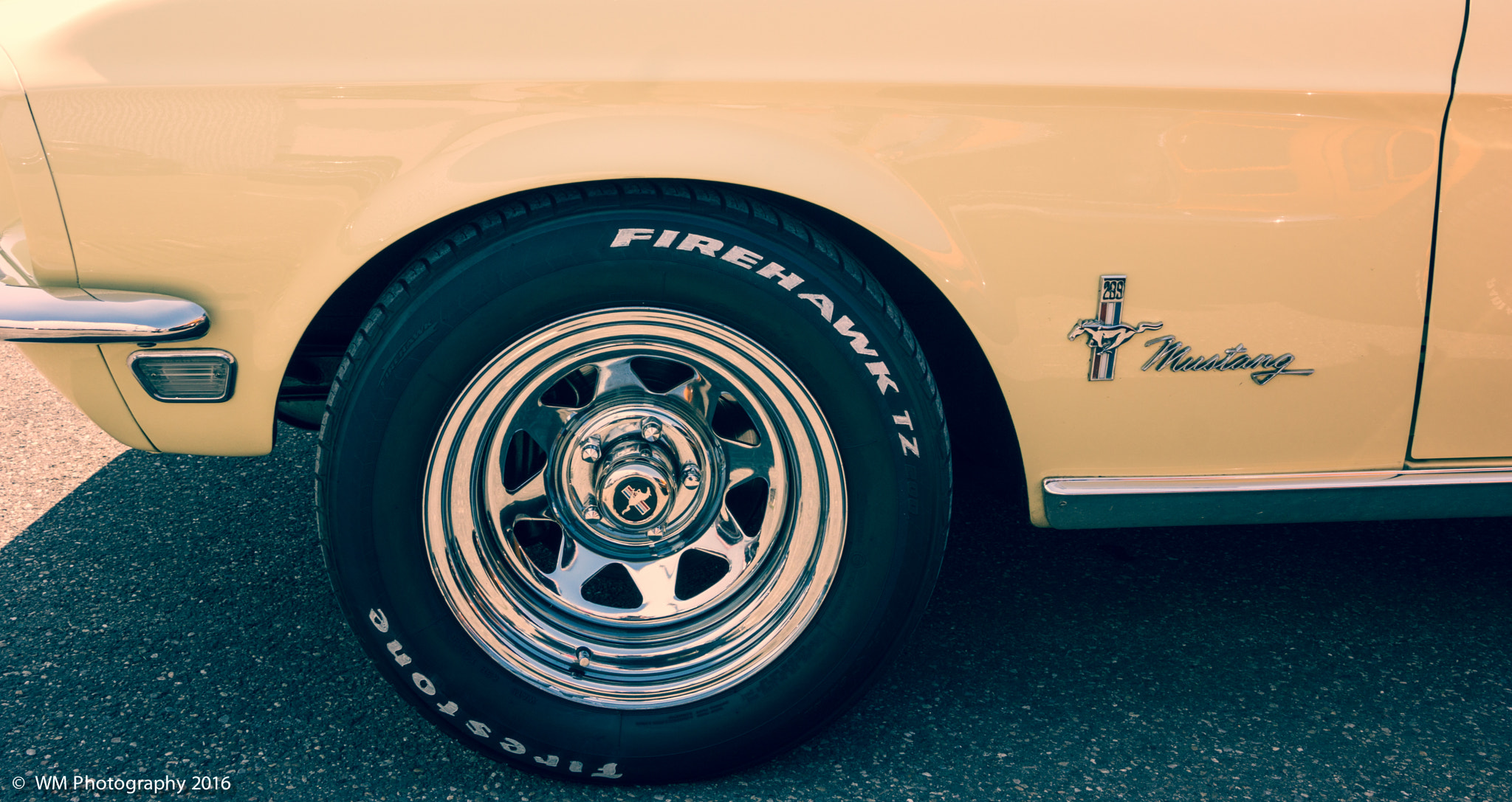 Sony SLT-A77 sample photo. Mustang valley photography