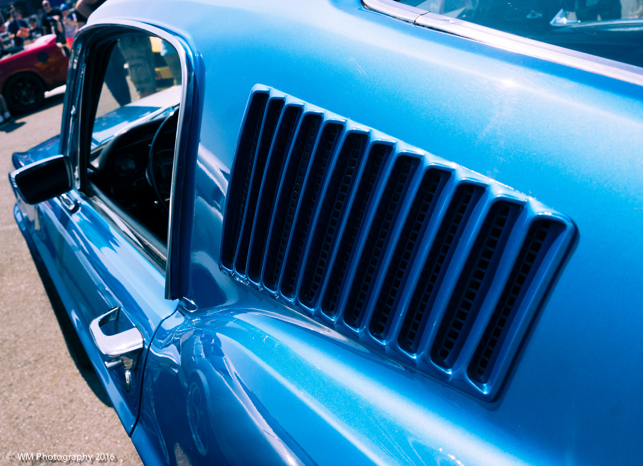 Sony SLT-A77 sample photo. Mustang valley photography