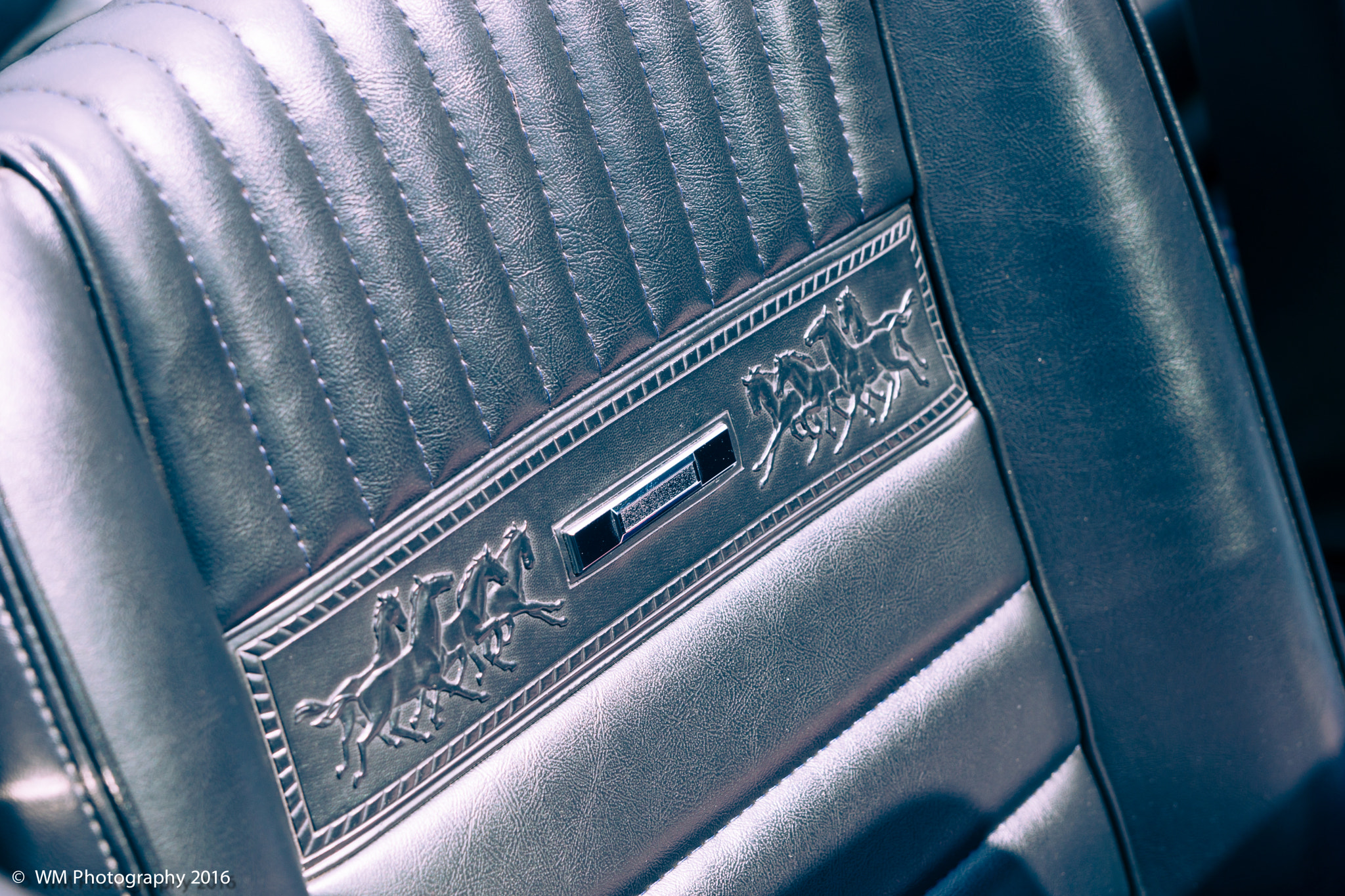 Sony SLT-A77 sample photo. Mustang valley photography