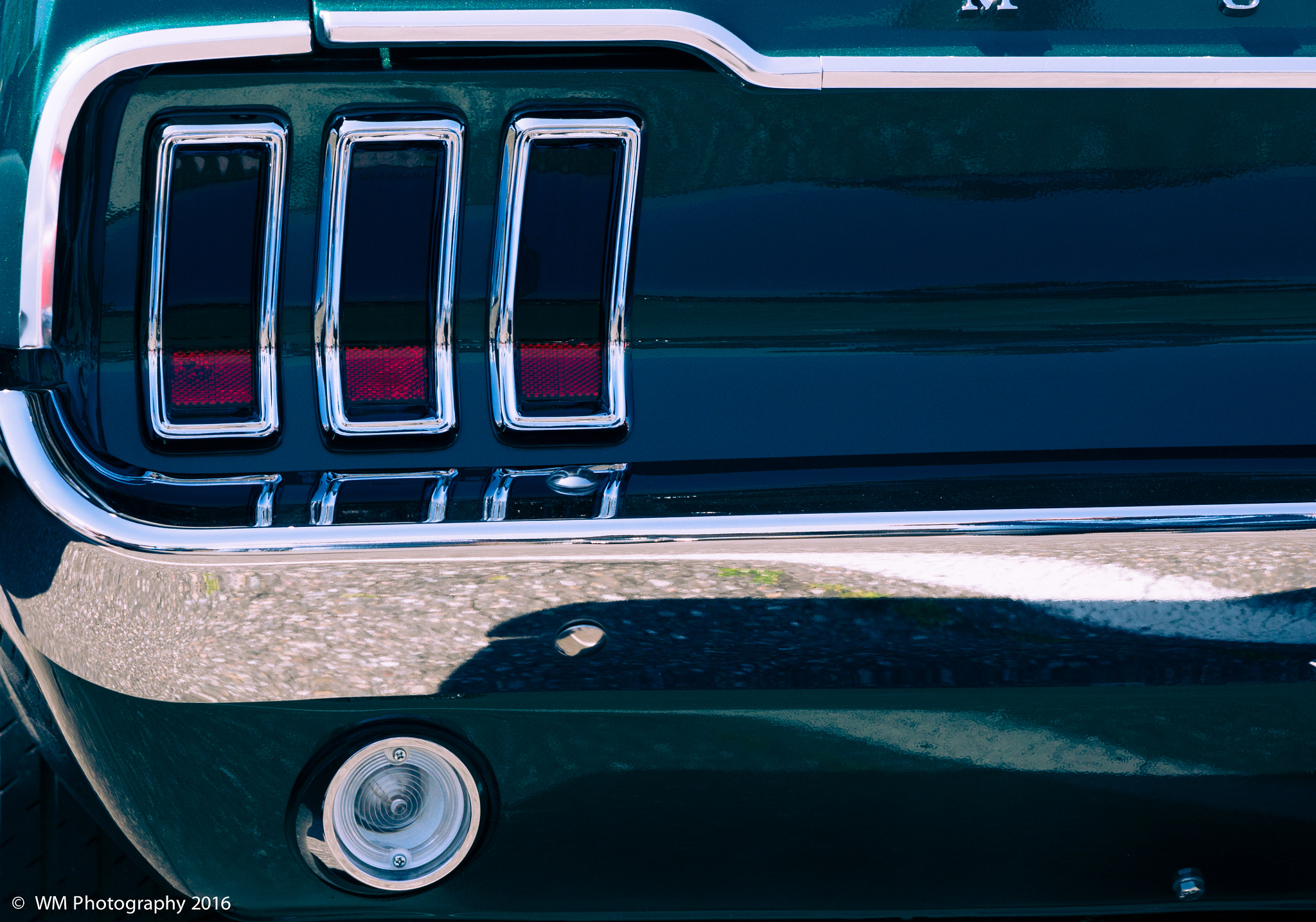 Sony SLT-A77 sample photo. Mustang valley photography