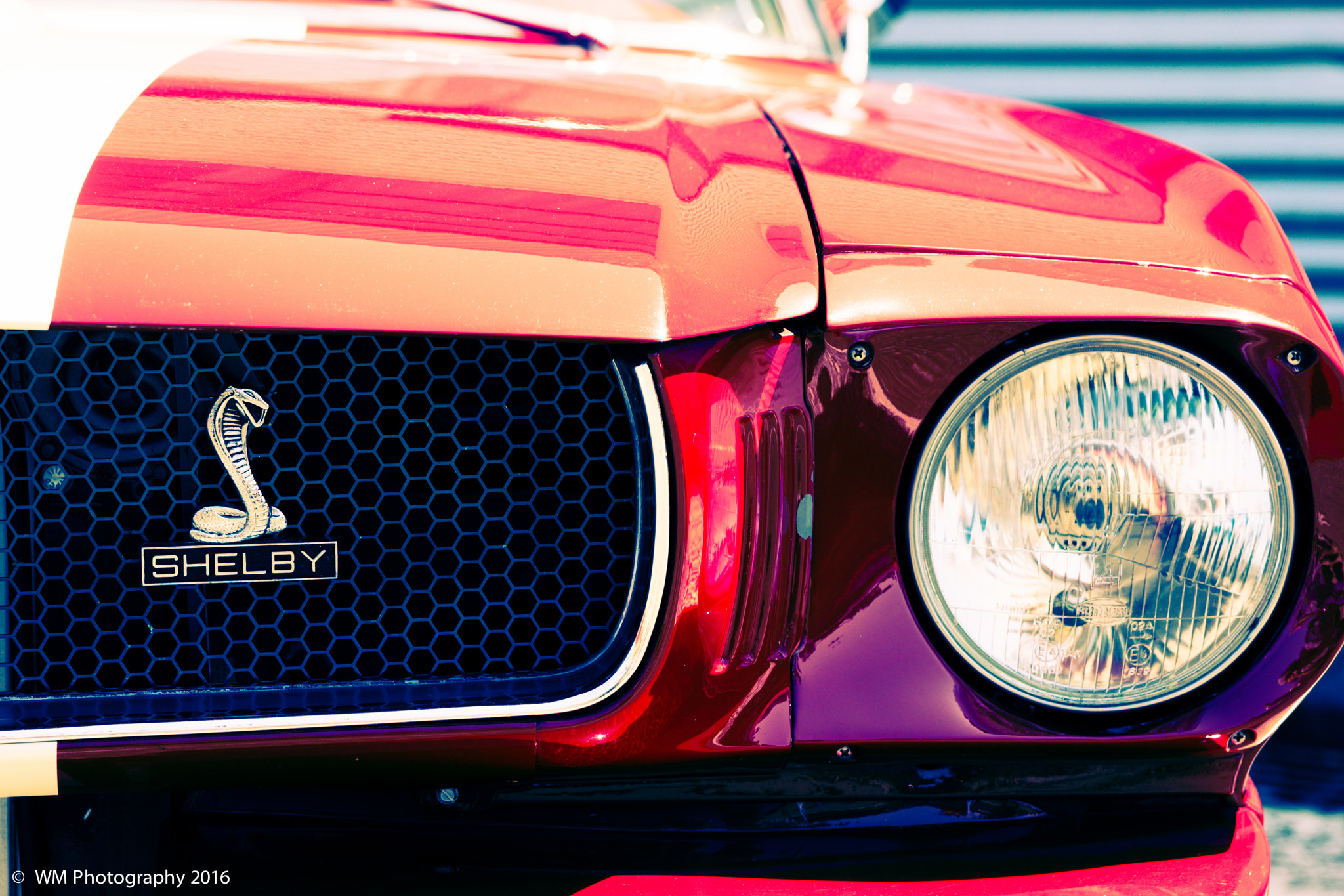 Sony SLT-A77 sample photo. Mustang valley photography