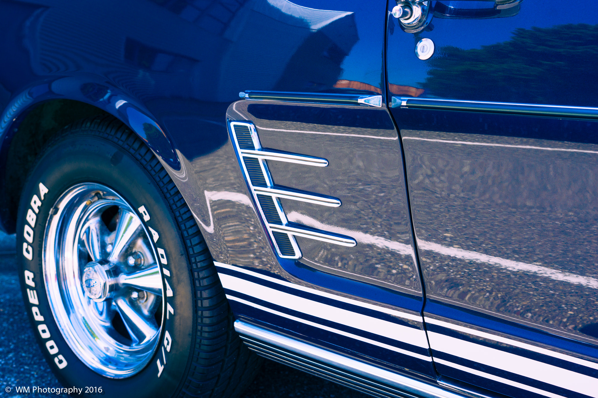 Sony SLT-A77 sample photo. Mustang valley photography