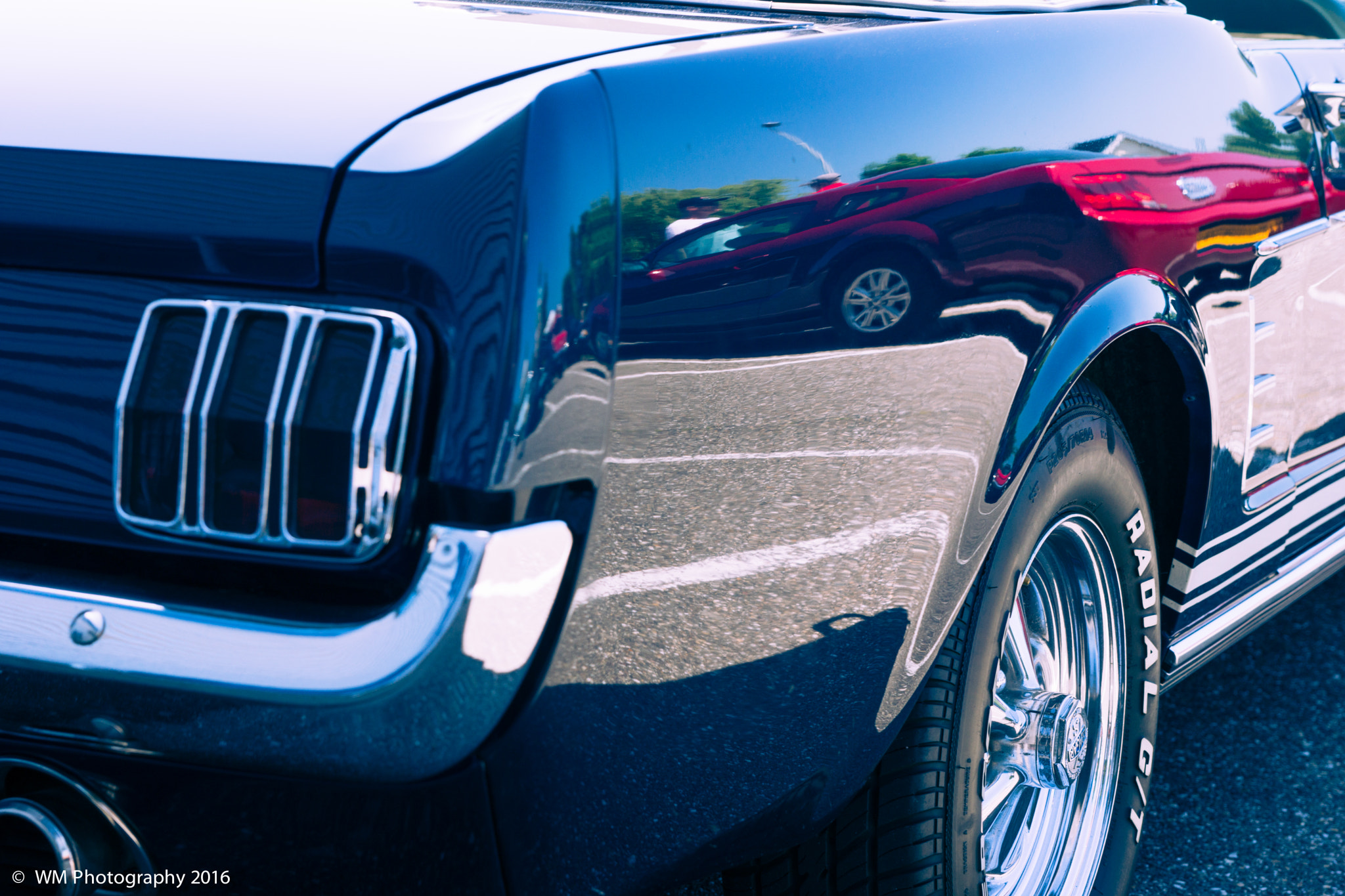 Sony SLT-A77 sample photo. Mustang valley photography
