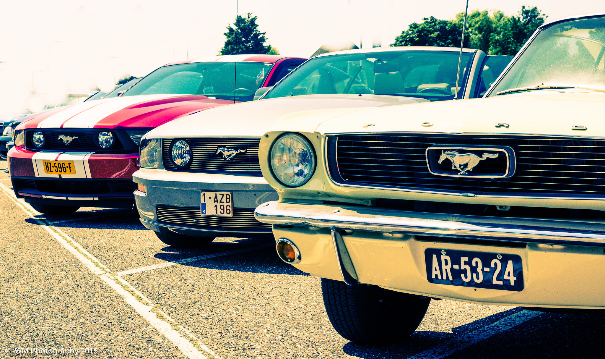Sony SLT-A77 sample photo. Mustang valley photography