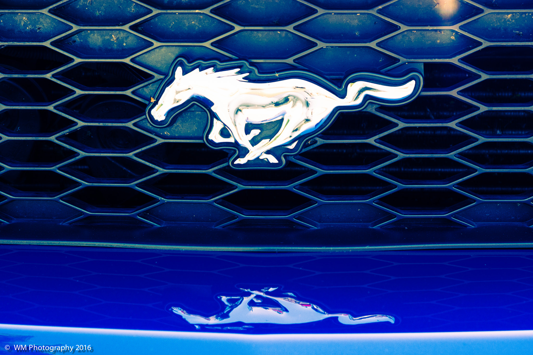 Sony SLT-A77 sample photo. Mustang valley photography