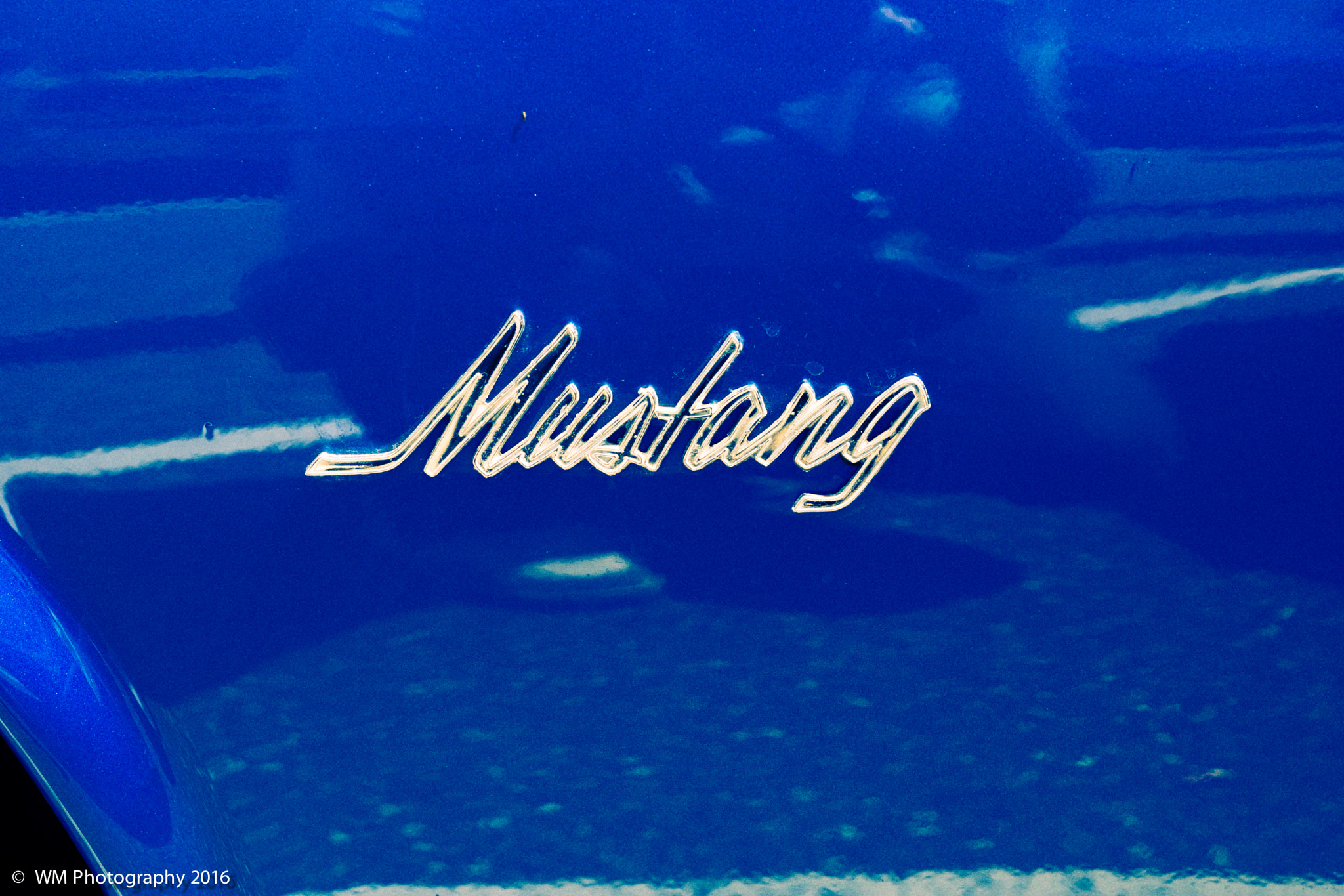 Sony SLT-A77 sample photo. Mustang valley photography