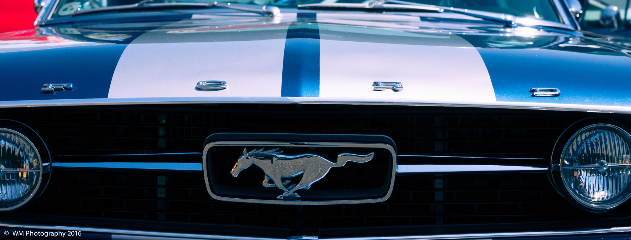 Sony SLT-A77 sample photo. Mustang valley photography