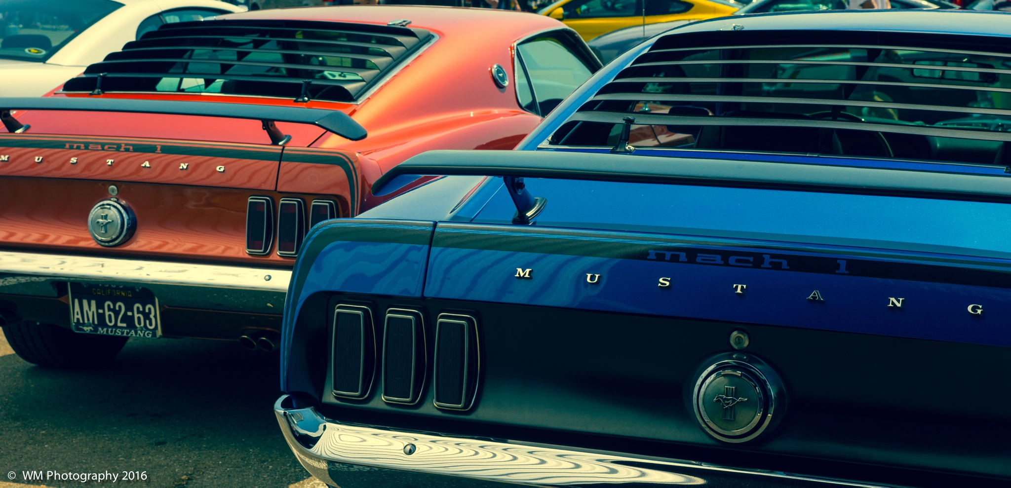 Sony SLT-A77 sample photo. Mustang valley photography